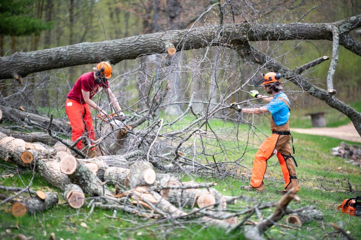 Chainsaw work