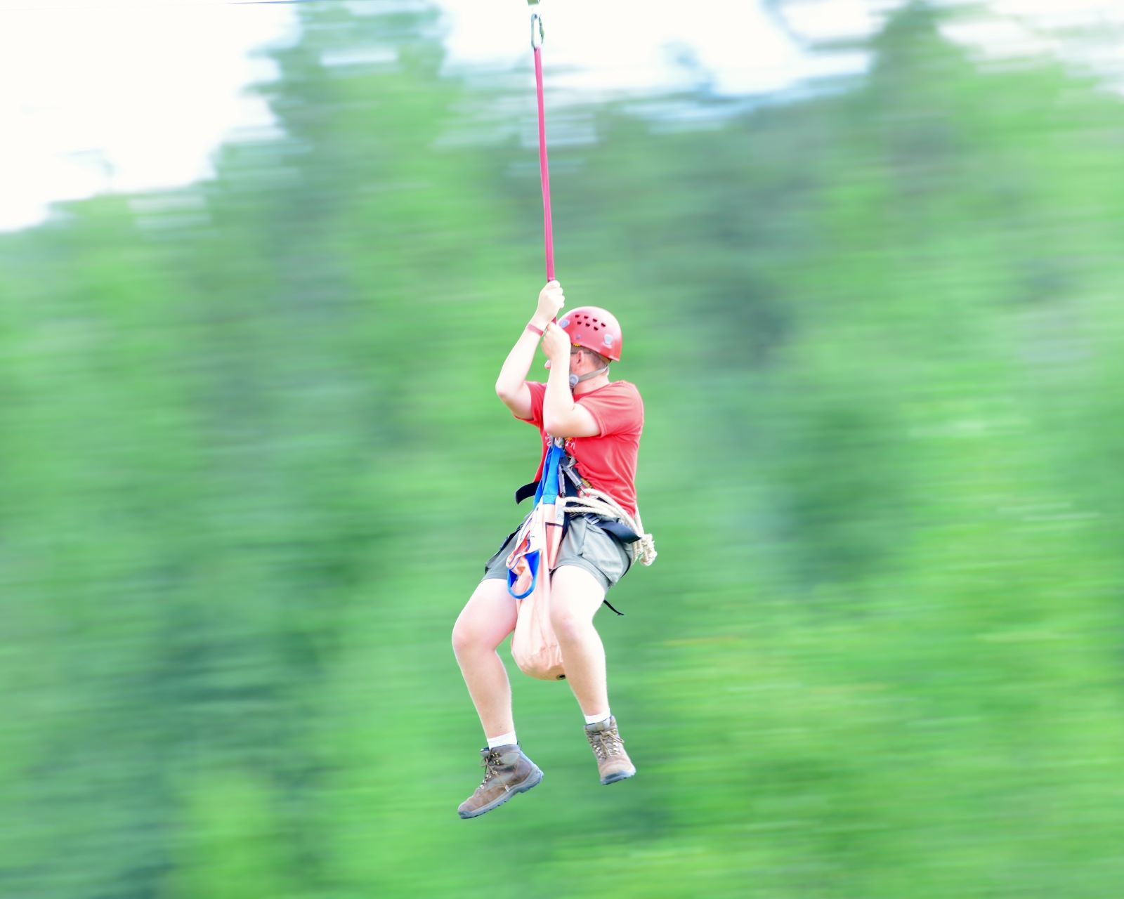 The high ropes course in all its glory